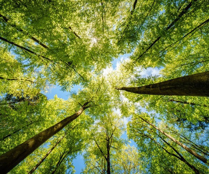 Rentschler Biopharma Sustainability