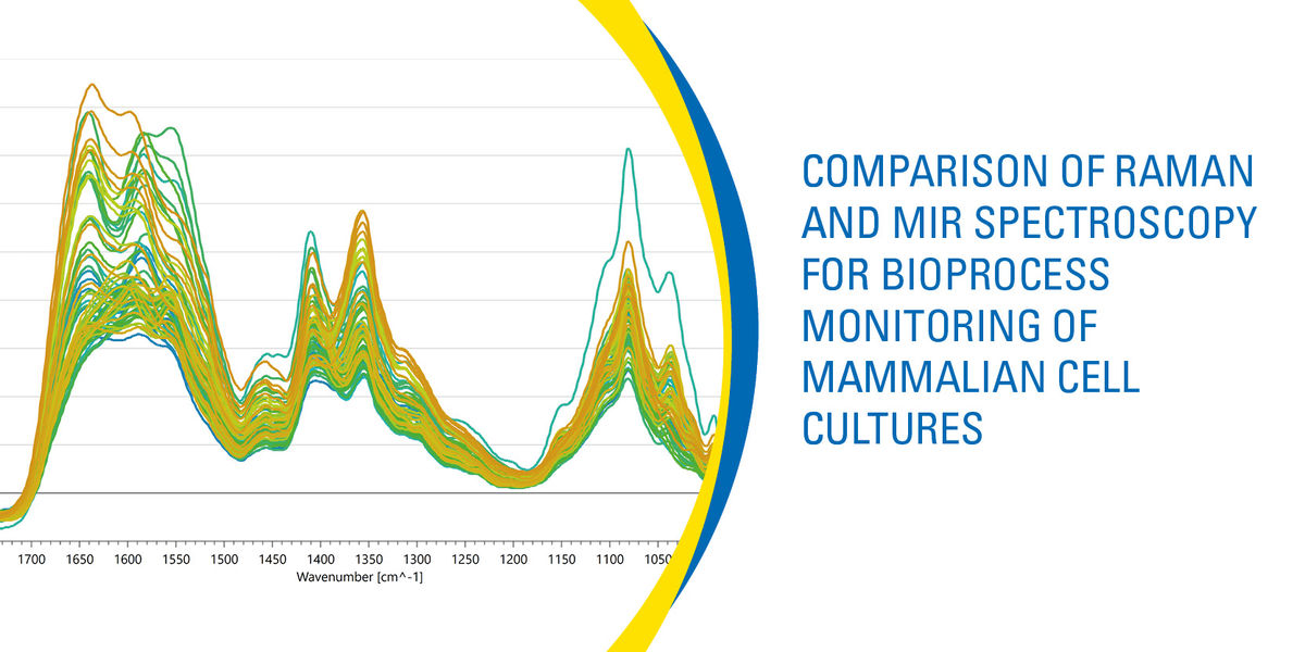 Rentschler Biopharma news comparison of raman and mir spectroscopy