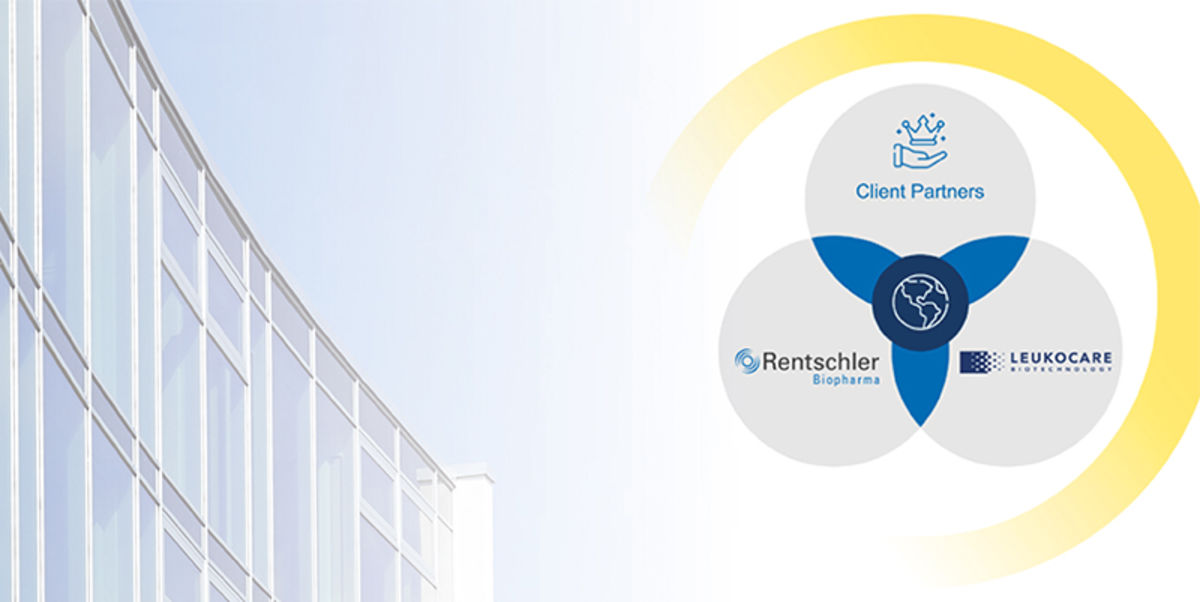 Rentschler Biopharma news article benefits of combining bioinformatics and an algorithm- and database-driven approach for biopharmaceutical stabilization