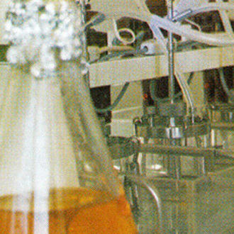 Rentschler Biopharma History 1974 