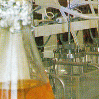 Rentschler Biopharma History 1974 