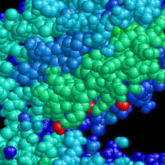 Rentschler Biopharma History 1989 