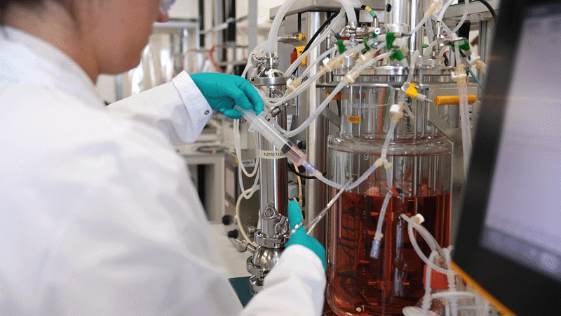 Rentschler Biopharma SE Services_Upstream Processes