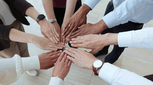 Finding best solutions. Together
