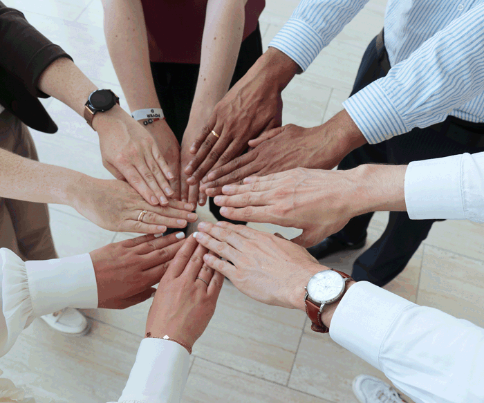 Finding best solutions. Together