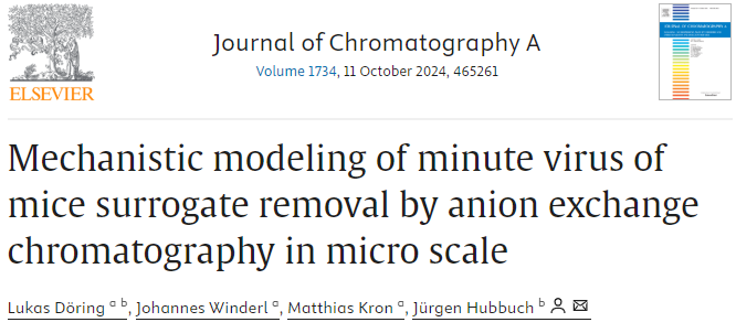 Mechanistic modeling of Minute Virus of Mice Virus-Like Particle removal by anion exchange chromatography (1) Mechanistic modeling of Minute Virus of Mice Virus-Like Particle removal by anion exchange chromatography