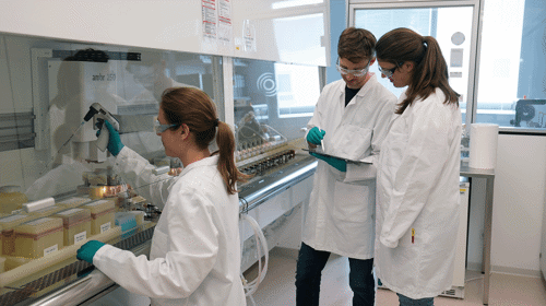 Rentschler Biopharma SE_Process Science and Production Roles