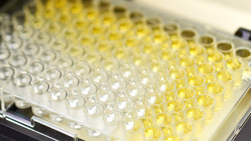 Expertise in all common protein formats Rentschler Biopharma CDMO expertise in all common protein formats